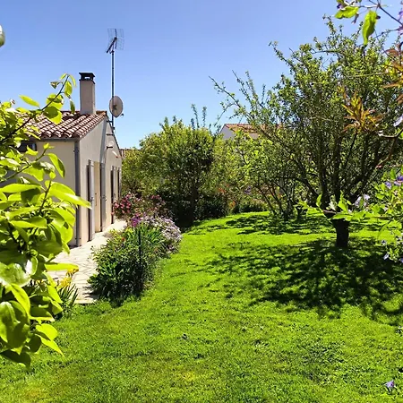 Casa vacanze 12 Pers - Grand Jardin - 8 Min à Pied De La - Idéal Pour Détente Ou Remote-working Saint-Martin-de-Ré