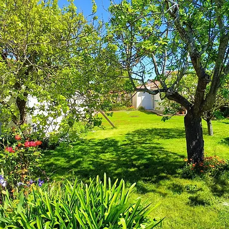 12 Pers - Grand Jardin - 8 Min A Pied De La - Ideal Pour Detente Ou Remote-working